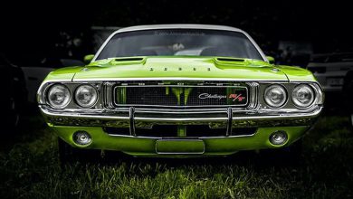 Afternoon Drive: American Muscle Cars (1)