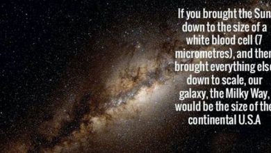 You'll Like These Interesting Facts Because... Science! (1)