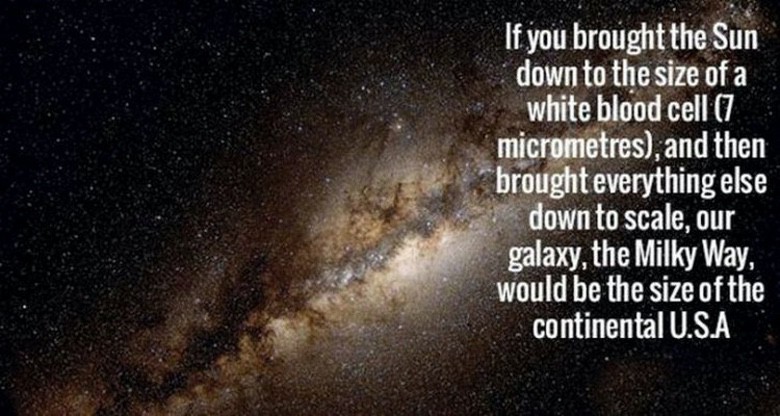 You'll Like These Interesting Facts Because... Science! (1)