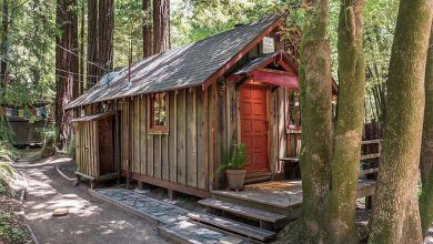 You Can Own This Perfect Tiny California Cabin (1)