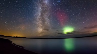 A Photographer Filming a Time-Lapse of the Milky Way Accidently Captured Something Amazing (1)