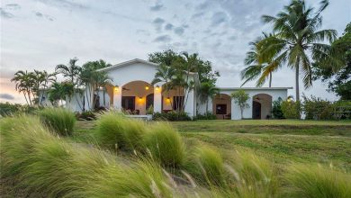 Dream House: Puerto Rican Tropical Paradise